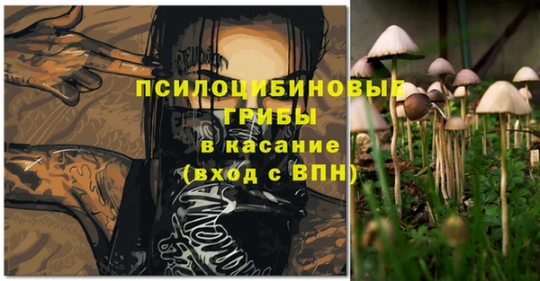 твердый Алексеевка