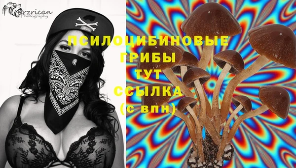 твердый Алексеевка