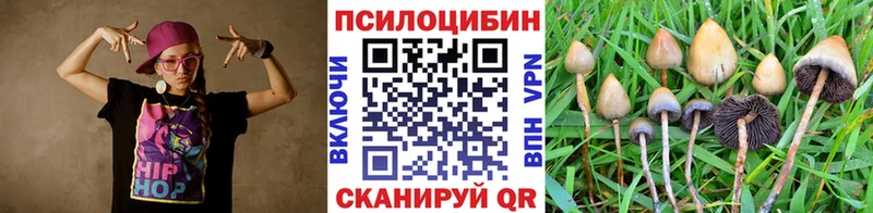 кракен зеркало  Южно-Сахалинск  Галлюциногенные грибы Psilocybine cubensis  даркнет сайт 