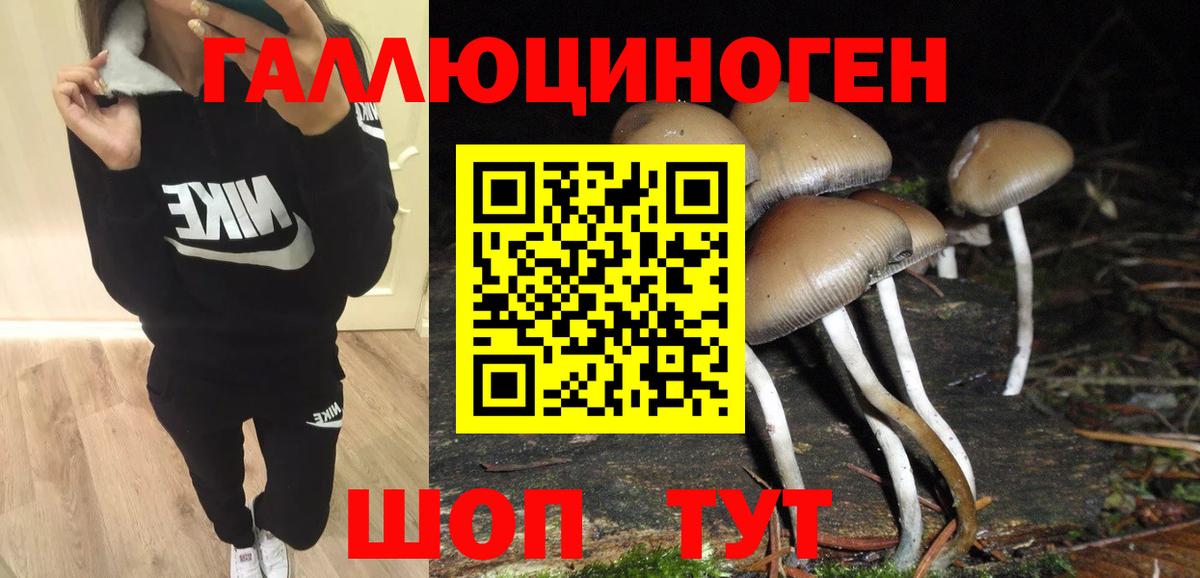 Псилоцибиновые грибы Cubensis  Псилоцибиновые грибы мицелий  Вход с VPN  Южно-Сахалинск 